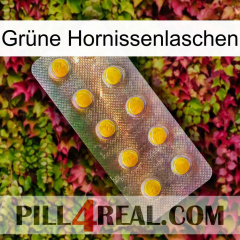 Grüne Hornissenlaschen new11